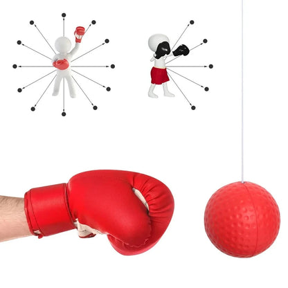 Ball for reflex training -SUNSPORT 